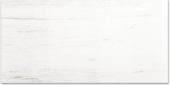 Polished Devotion 24X48 |  Carpet Barn Carpet One Inc.