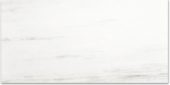 Polished Devotion 24X48 |  Carpet Barn Carpet One Inc.