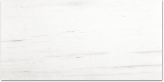 Polished Devotion 24X48 |  Carpet Barn Carpet One Inc.