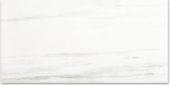 Polished Devotion 24X48 |  Carpet Barn Carpet One Inc.