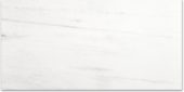 Polished Devotion 24X48 |  Carpet Barn Carpet One Inc.