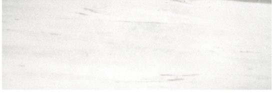 Polished Devotion 4X12 |  Carpet Barn Carpet One Inc.