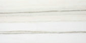 Polished Enchantment 12X24 |  Carpet Barn Carpet One Inc.