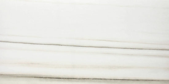 Polished Enchantment 12X24 |  Carpet Barn Carpet One Inc.