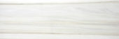Polished Enchantment 4X12 |  Carpet Barn Carpet One Inc.