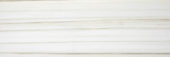 Polished Enchantment 4X12 |  Carpet Barn Carpet One Inc.