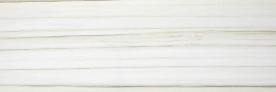 Polished Enchantment 4X12 |  Carpet Barn Carpet One Inc.