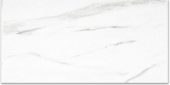 Polished Infatuation 12X24 |  Carpet Barn Carpet One Inc.