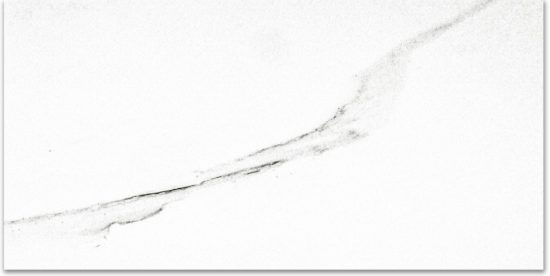 Polished Infatuation 16X32 |  Carpet Barn Carpet One Inc.