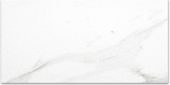Polished Infatuation 16X32 |  Carpet Barn Carpet One Inc.