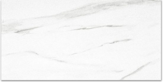 Polished Infatuation 16X32 |  Carpet Barn Carpet One Inc.