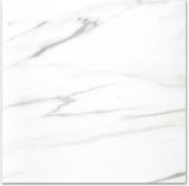 Polished Infatuation 24X24 |  Carpet Barn Carpet One Inc.