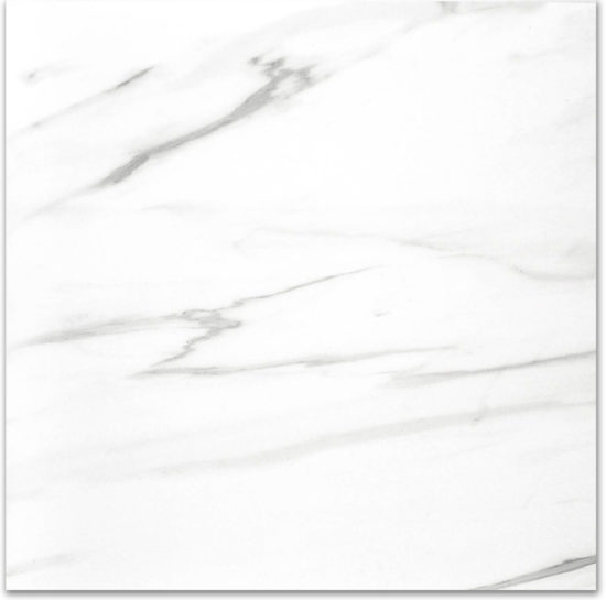 Polished Infatuation 24X24 |  Carpet Barn Carpet One Inc.