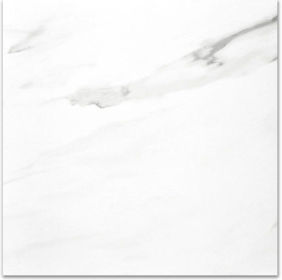 Polished Infatuation 24X24 |  Carpet Barn Carpet One Inc.