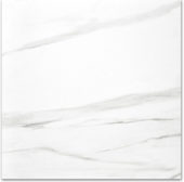 Polished Infatuation 24X24 |  Carpet Barn Carpet One Inc.