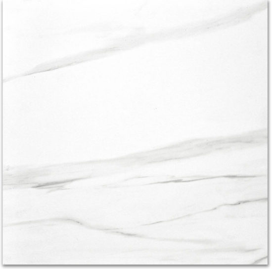 Polished Infatuation 24X24 |  Carpet Barn Carpet One Inc.