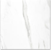 Polished Infatuation 24X24 |  Carpet Barn Carpet One Inc.