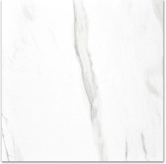 Polished Infatuation 24X24 |  Carpet Barn Carpet One Inc.