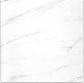 Polished Infatuation 24X24 |  Carpet Barn Carpet One Inc.