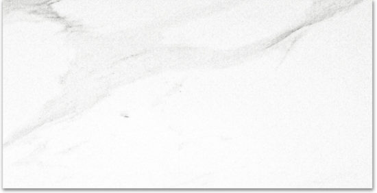 Polished Infatuation 24X48 |  Carpet Barn Carpet One Inc.