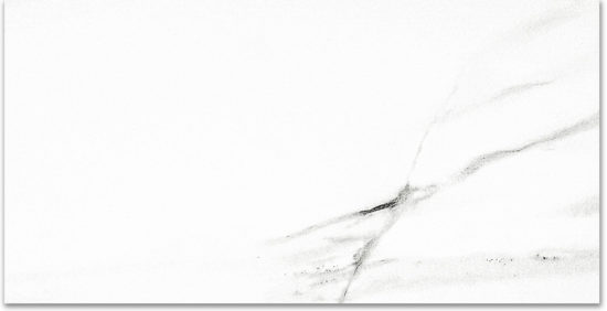 Polished Infatuation 24X48 |  Carpet Barn Carpet One Inc.