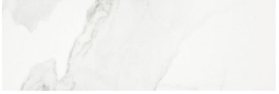 Polished Love 10.5X32 |  Carpet Barn Carpet One Inc.