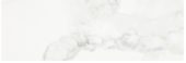 Polished Love 10.5X32 |  Carpet Barn Carpet One Inc.
