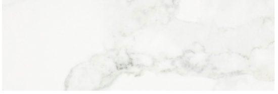 Polished Love 10.5X32 |  Carpet Barn Carpet One Inc.