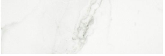 Polished Love 10.5X32 |  Carpet Barn Carpet One Inc.