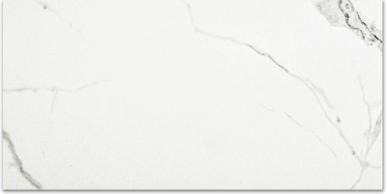 Polished Love 12X24 |  Carpet Barn Carpet One Inc.