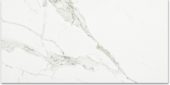 Polished Love 12X24 |  Carpet Barn Carpet One Inc.