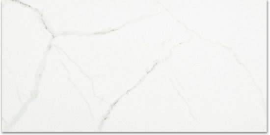 Polished Love 12X24 |  Carpet Barn Carpet One Inc.