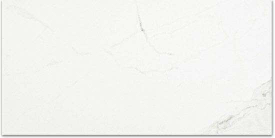 Polished Love 12X24 |  Carpet Barn Carpet One Inc.