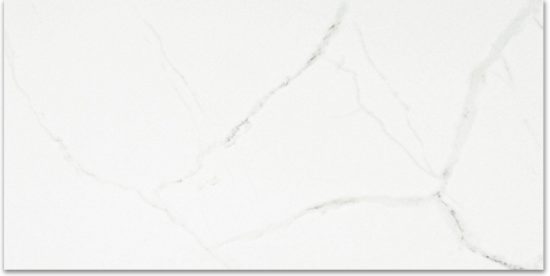 Polished Love 16X32 |  Carpet Barn Carpet One Inc.