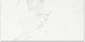 Polished Love 16X32 |  Carpet Barn Carpet One Inc.