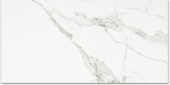 Polished Love 16X32 |  Carpet Barn Carpet One Inc.