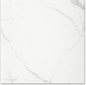 Polished Love 24X24 |  Carpet Barn Carpet One Inc.