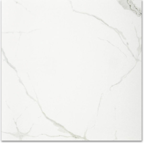Polished Love 24X24 |  Carpet Barn Carpet One Inc.