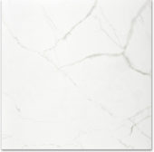 Polished Love 24X24 |  Carpet Barn Carpet One Inc.