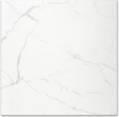 Polished Love 24X24 |  Carpet Barn Carpet One Inc.