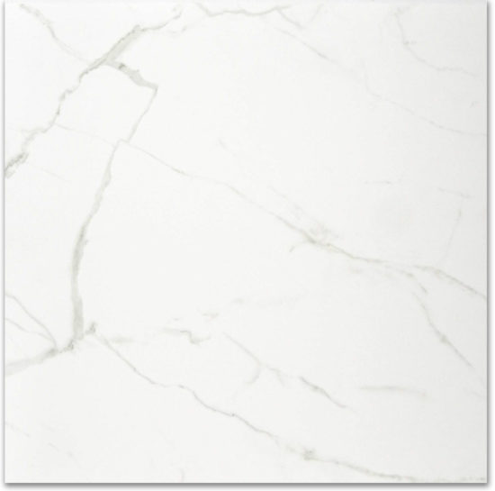 Polished Love 24X24 |  Carpet Barn Carpet One Inc.