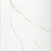 Polished Love 24X24 |  Carpet Barn Carpet One Inc.