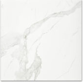 Polished Love 24X24 |  Carpet Barn Carpet One Inc.