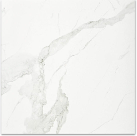 Polished Love 24X24 |  Carpet Barn Carpet One Inc.