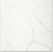 Polished Love 24X24 |  Carpet Barn Carpet One Inc.