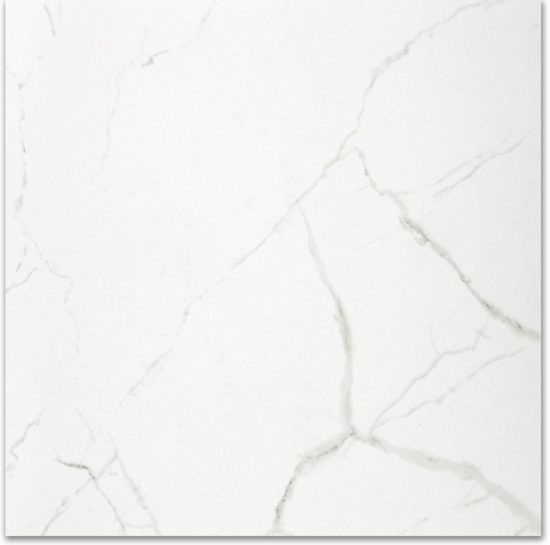 Polished Love 24X24 |  Carpet Barn Carpet One Inc.