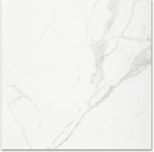 Polished Love 24X24 |  Carpet Barn Carpet One Inc.