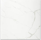 Polished Love 24X24 |  Carpet Barn Carpet One Inc.