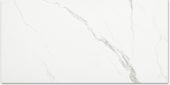 Polished Love 24X48 |  Carpet Barn Carpet One Inc.