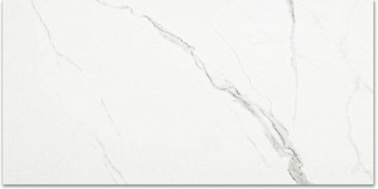 Polished Love 24X48 |  Carpet Barn Carpet One Inc.